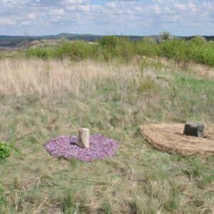Nature Art - Stoneflower -2012.