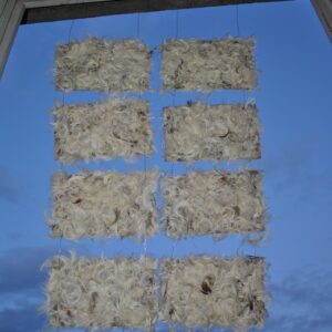 Public Art - Tollas Araszmetszés - 2012.